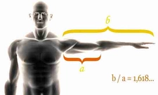 Altın Oran Vücut