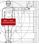 İnsan Vücudunda Altın Oran